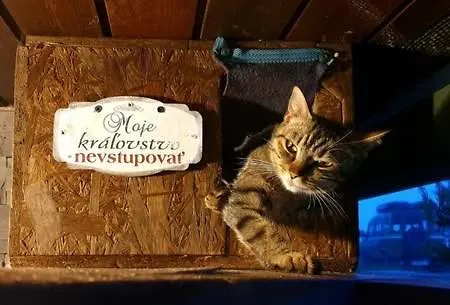 Panorama Ranc 샬레