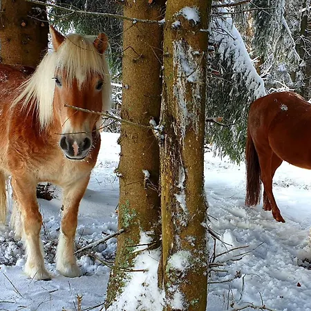 샬레 Panorama Ranc