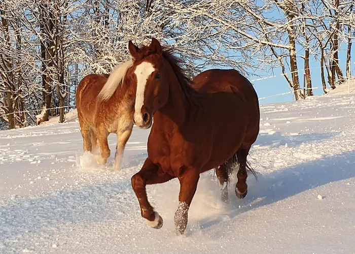Alpesi faház Panorama Ranc Kornyavölgy